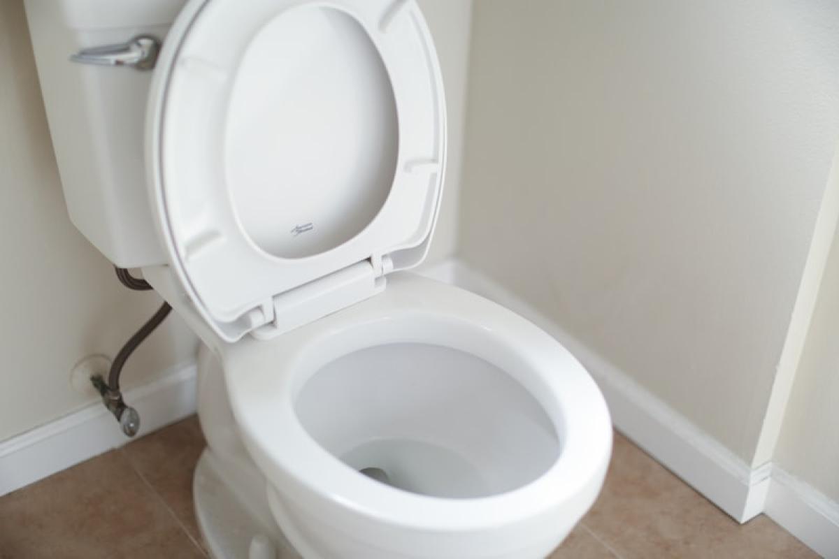 Great Wall Rimless Smart Commode — view 2
