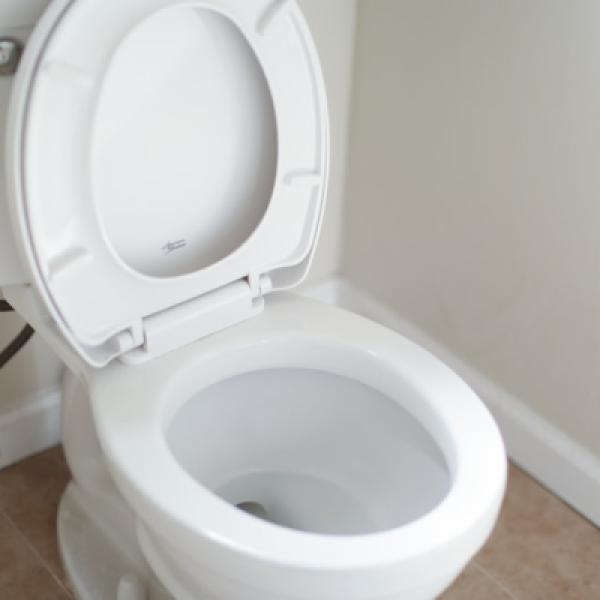 Aladin Signature Two-Piece Commode